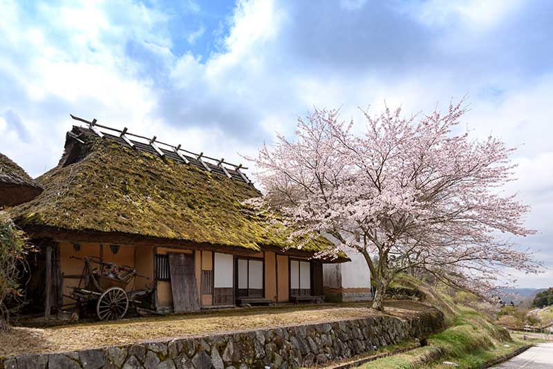 八塔寺ふるさと村 民俗資料館 びぜんハートあそぼ