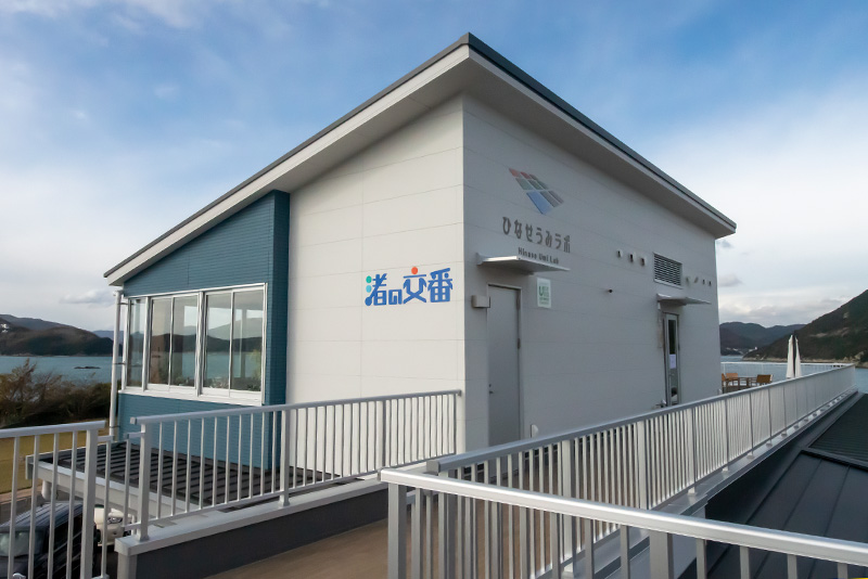 ひなせうみラボ