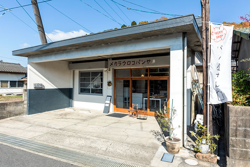 メカラウロコパンヤ