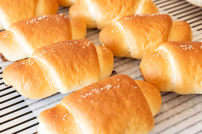 メカラウロコパンヤ