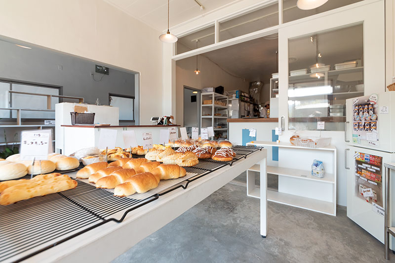 メカラウロコパンヤ