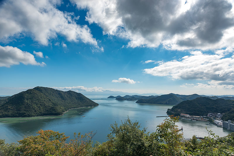 みなとの見える丘公園