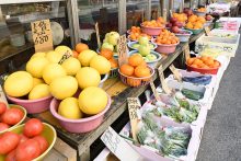 中村商店