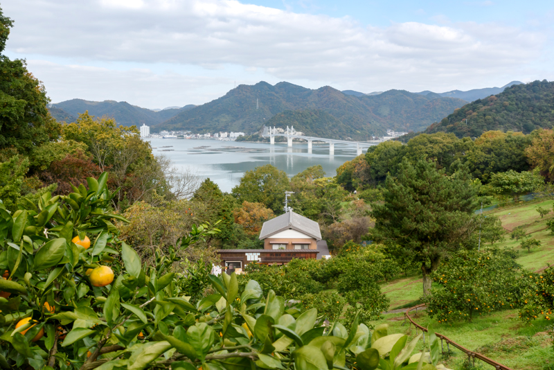 下林農園