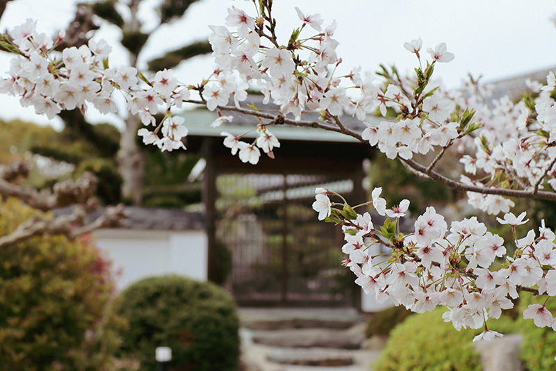 一棟貸し宿 Villa SHINOBI -忍-