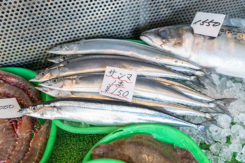 鈴木鮮魚有限会社