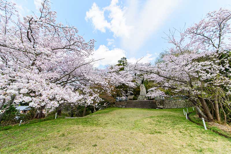 招魂山上山公園