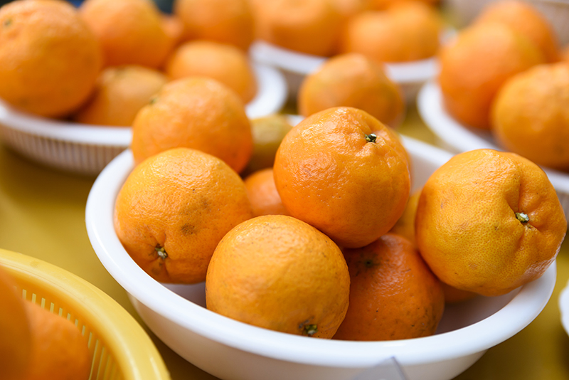 山本農園直売所